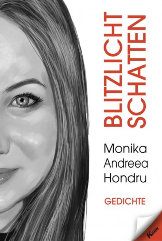Buchcover: Blitzlicht Schatten